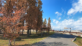 gx013931.mp4_snapshot_00.04_thumb.jpg