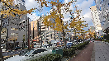 gx013947.mp4_snapshot_00.00_thumb.jpg