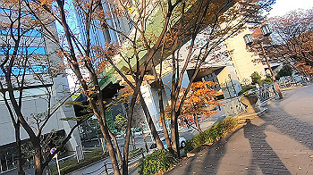 gx013950.mp4_snapshot_00.02_thumb.jpg