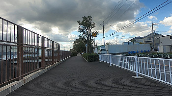 gx013984.mp4_snapshot_00.00_thumb.jpg