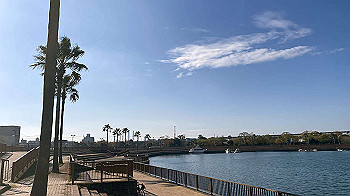 2021-12-11_12-46-34_071_thumb.jpg