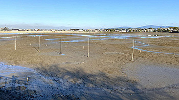 2021-12-11_15-05-26_809_thumb.jpg