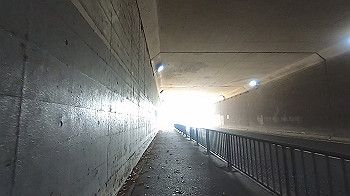 gx013997.mp4_snapshot_00.00_thumb.jpg