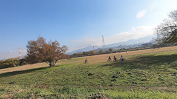gx014006.mp4_snapshot_00.00_thumb.jpg