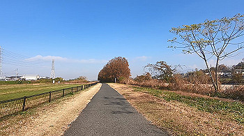 gx014009.mp4_snapshot_00.00_thumb.jpg