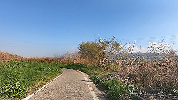 gx014013.mp4_snapshot_00.00_thumb.jpg