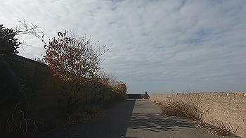 gx014033.mp4_snapshot_00.00_thumb.jpg