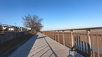 gx014074.mp4_snapshot_00.00_thumb.jpg