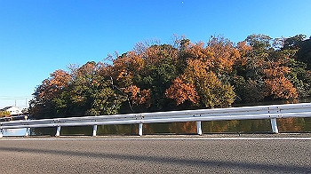 gx014078.mp4_snapshot_00.00_thumb.jpg
