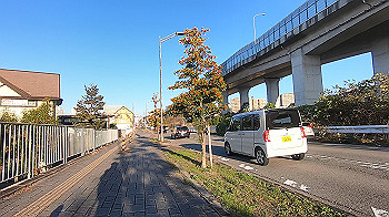 gx014079.mp4_snapshot_00.00_thumb.jpg