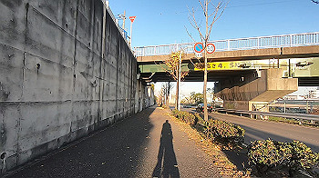 gx014081.mp4_snapshot_00.00_thumb.jpg