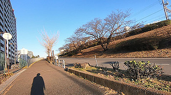 gx014082.mp4_snapshot_00.00_thumb.jpg