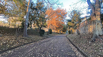 gx014084.mp4_snapshot_00.00_thumb.jpg