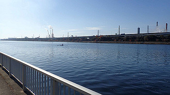 pc111313_thumb.jpg