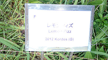 pc111318_thumb.jpg