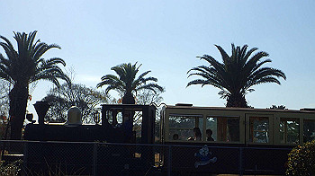 pc111331_thumb.jpg