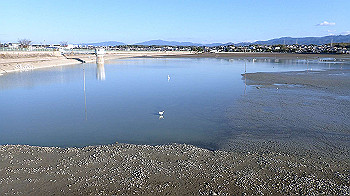 pc111344_thumb.jpg