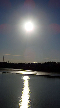 pc111351_thumb.jpg