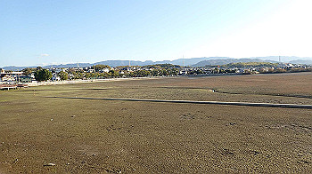 pc111356_thumb.jpg