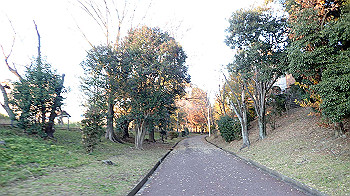 pc111364_thumb.jpg