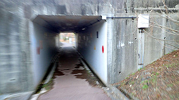 pc111371_thumb.jpg