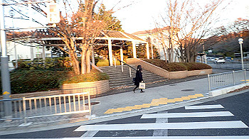 pc111379_thumb.jpg
