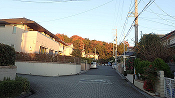 pc111381_thumb.jpg