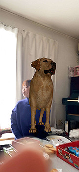 2022-01-03_13-30-44_937_thumb.jpg