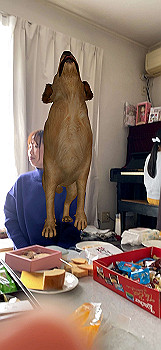 2022-01-03_13-30-46_097_thumb.jpg
