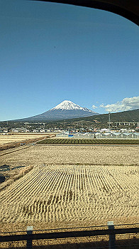 2022-01-05_13-16-10_000_thumb.jpg