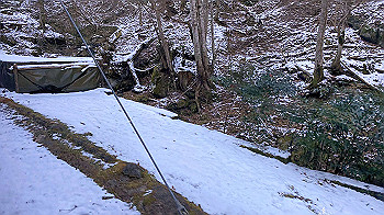 2022-01-08_11-05-30_786_thumb.jpg
