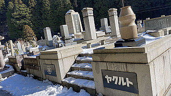 2022-01-08_12-58-33_857_thumb.jpg