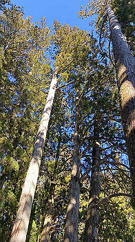 2022-01-08_13-30-34_440_thumb.jpg