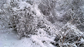 2022-01-15_11-04-34_031_thumb.jpg