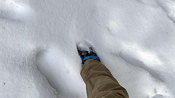 2022-01-15_11-05-38_853_thumb.jpg
