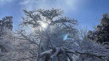 2022-01-15_11-54-51_090_thumb.jpg