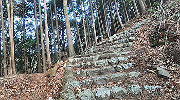 gx014088.mp4_snapshot_00.00_thumb.jpg
