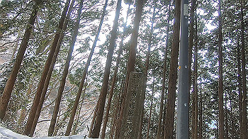 gx014092.mp4_snapshot_00.00_thumb.jpg