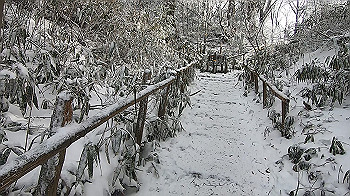 gx014093.mp4_snapshot_00.00_thumb.jpg