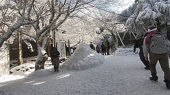 gx014096.mp4_snapshot_00.00_thumb.jpg