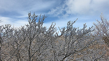 gx014105.mp4_snapshot_00.00_thumb.jpg