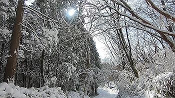 gx014106.mp4_snapshot_00.00_thumb.jpg