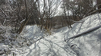 gx014107.mp4_snapshot_00.00_thumb.jpg