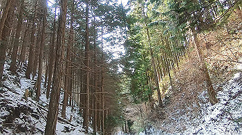 gx014110.mp4_snapshot_00.00_thumb.jpg