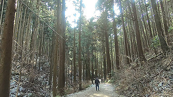 gx014112.mp4_snapshot_00.00_thumb.jpg