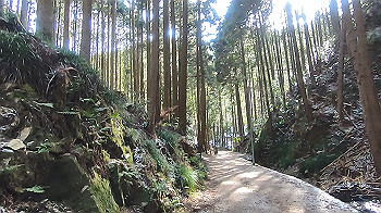 gx014113.mp4_snapshot_00.00_thumb.jpg