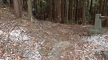 p1150016_thumb.jpg