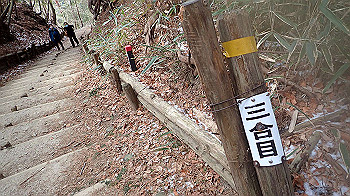 p1150024_thumb.jpg