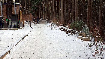 p1150029_thumb.jpg