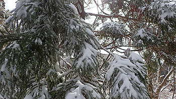 p1150039_thumb.jpg